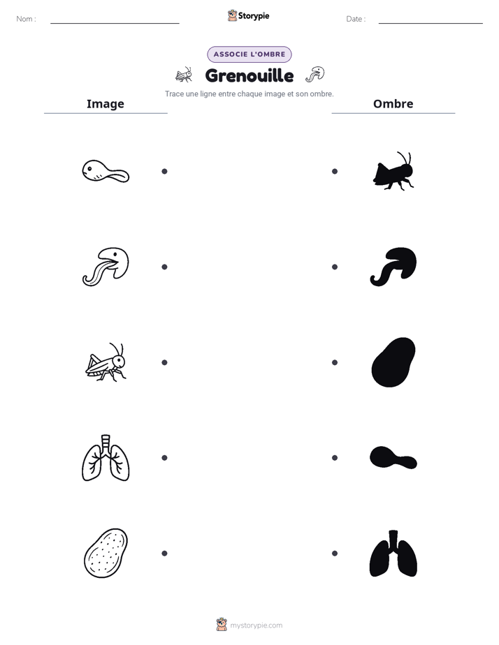 Correspondance d'Ombres