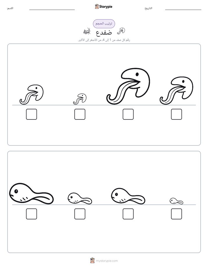 ترتيب الحجم