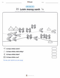 Xem trước tài liệu in sẵn Cá chình moray xanh