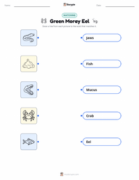Green Moray Eel printable worksheet preview