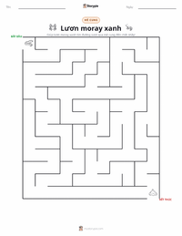 Xem trước tài liệu in sẵn Cá chình moray xanh