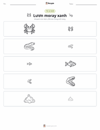 Xem trước tài liệu in sẵn Cá chình moray xanh