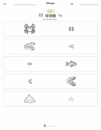 绿裸胸鳝 可打印工作表预览