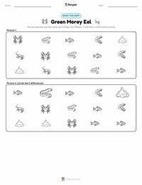 Green Moray Eel printable worksheet preview