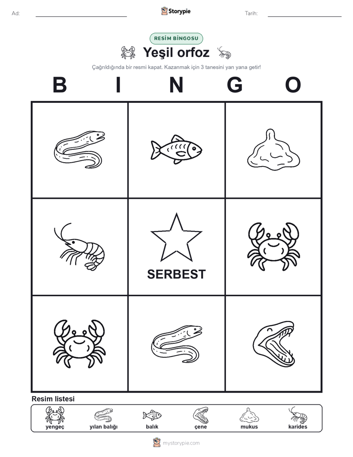 Resim Bingo