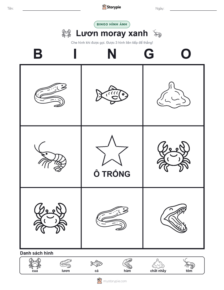 Bingo Hình Ảnh