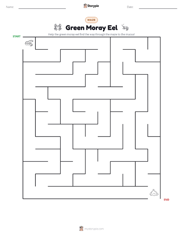 Maze