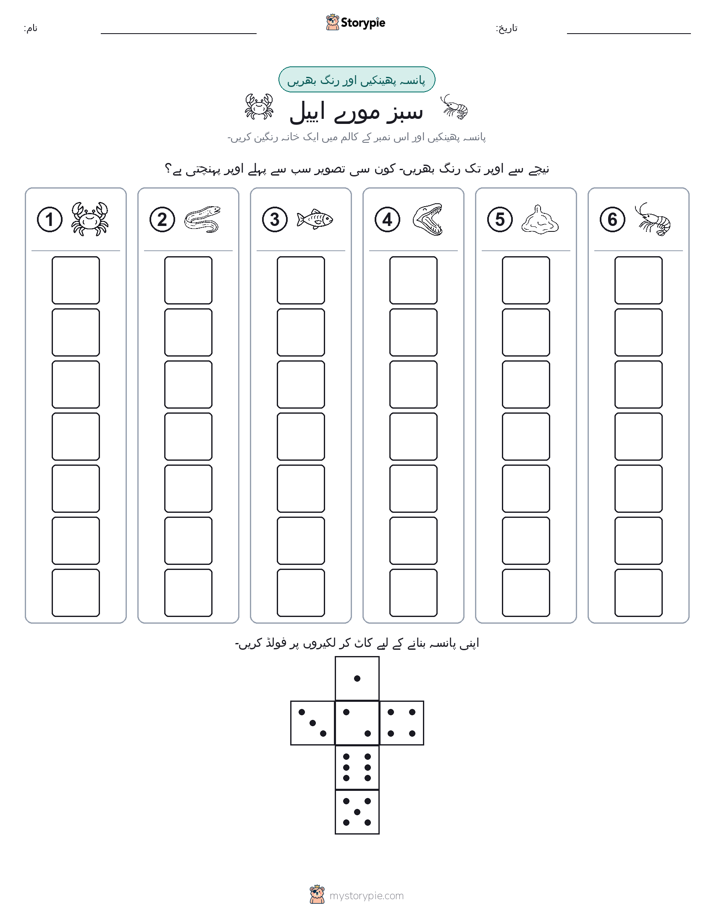 رول اور رنگ