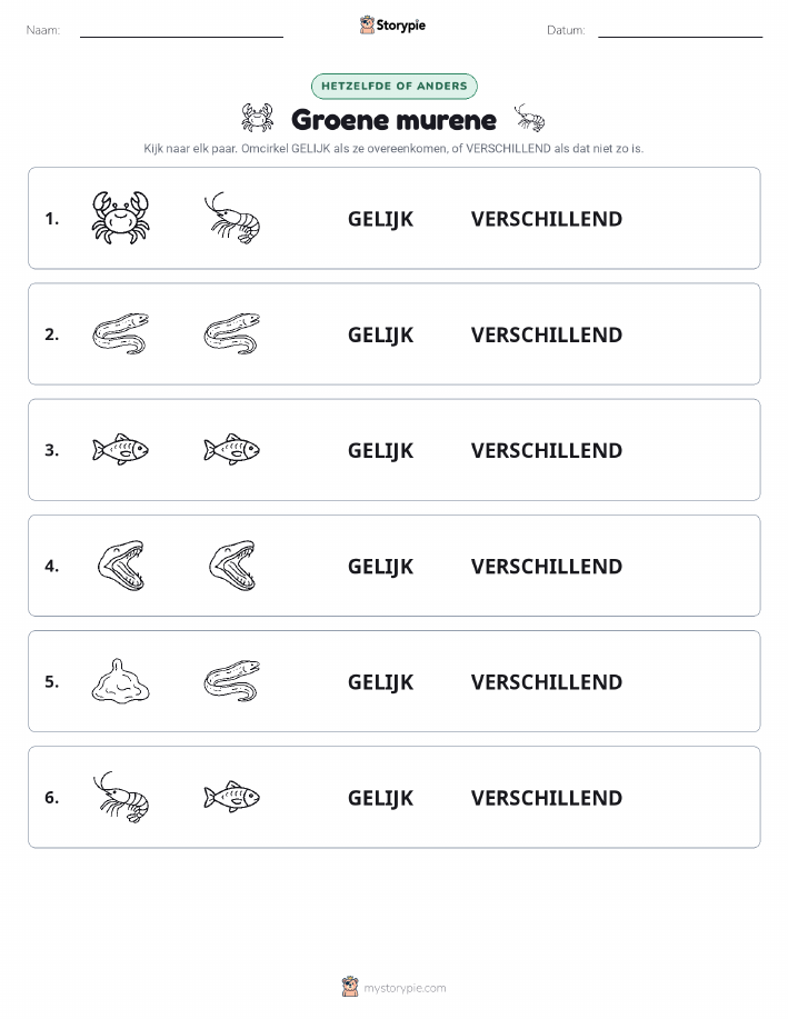 Zelfde of Verschillend