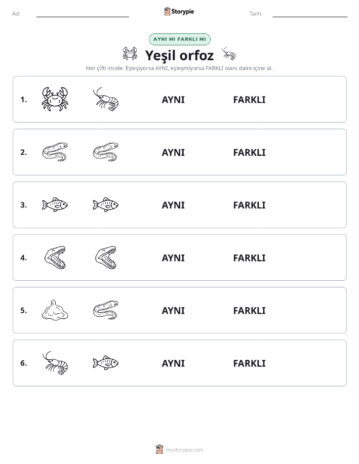 Aynı mı Farklı mı
