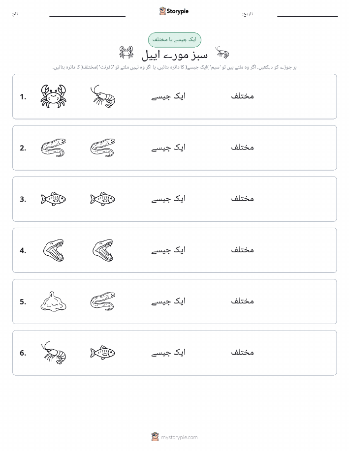 ایک جیسا یا مختلف