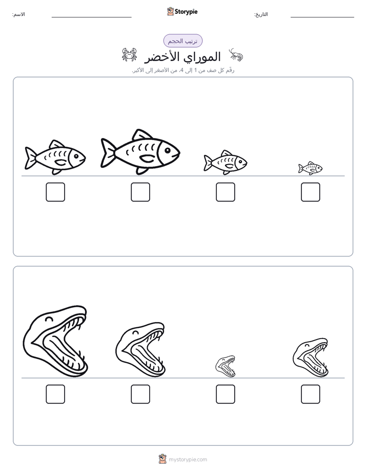 ترتيب الحجم