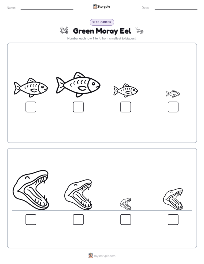 Size Order