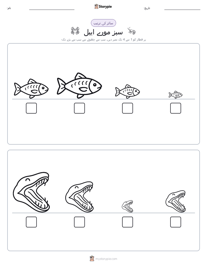 سائز کی ترتیب