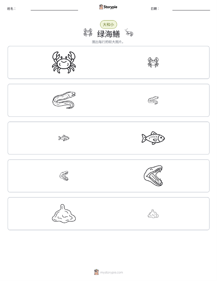 分类