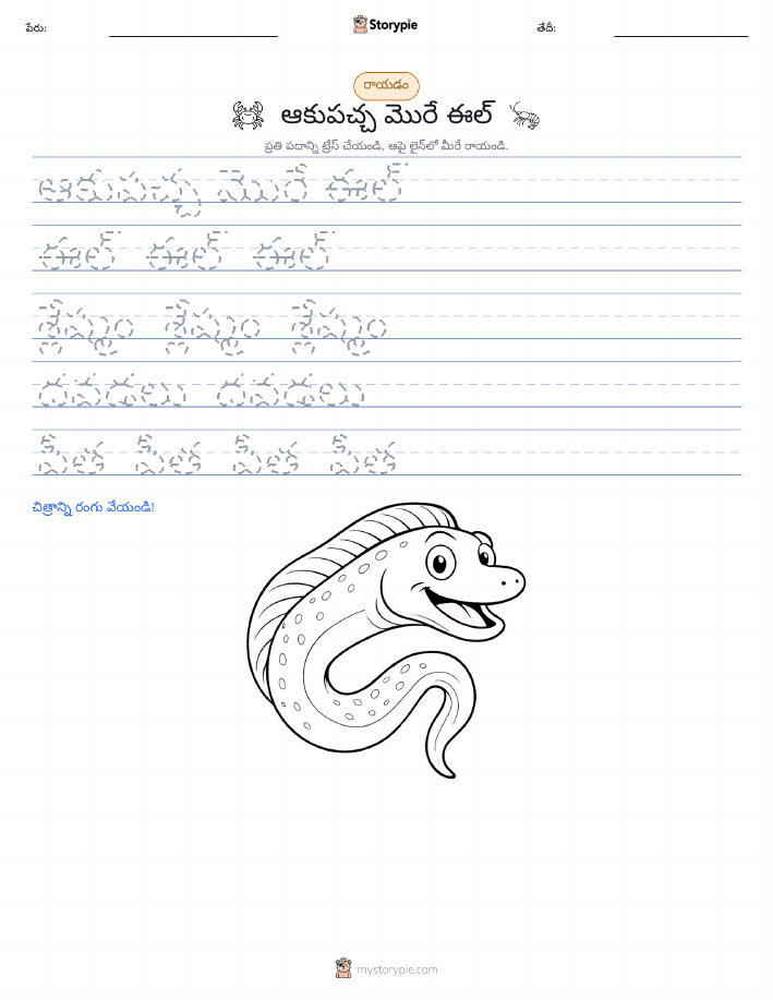 రాయడం సాధన