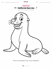 California Sea Lion printable worksheet preview