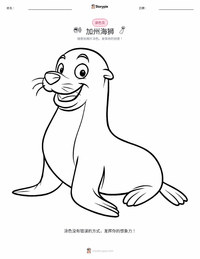 加州海狮 着色页，适合儿童