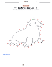 California Sea Lion printable worksheet preview