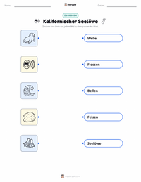 Kalifornischer Seelöwe druckbare Arbeitsblatt Vorschau