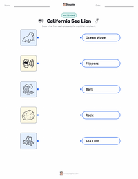 California Sea Lion printable worksheet preview
