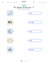 캘리포니아바다사자 인쇄 가능한 워크시트 미리보기