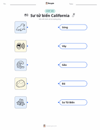 Tài liệu in sẵn Sư tử biển California cho trẻ em