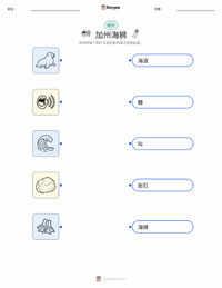 加州海狮 可打印工作表，适合儿童