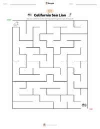 California Sea Lion printable worksheet preview