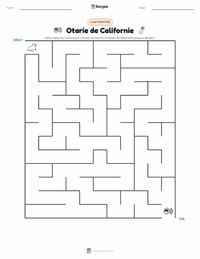 Aperçu de la feuille de travail imprimable Otarie de Californie