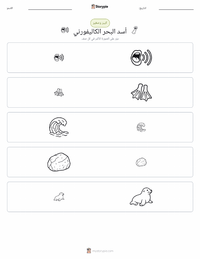 معاينة ورقة العمل القابلة للطباعة أسد البحر الكاليفورني