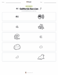 California Sea Lion printable worksheet preview