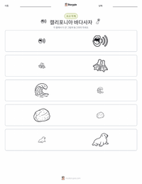 캘리포니아바다사자 인쇄 가능한 워크시트 미리보기