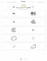 کیلیفورنیا سمندری شیر پرنٹ کرنے کے قابل ورکشیٹ کا پیش نظارہ