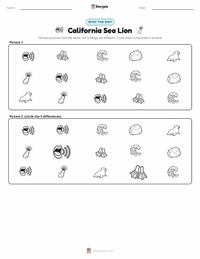 California Sea Lion printable worksheet preview