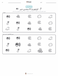 کیلیفورنیا سمندری شیر پرنٹ کرنے کے قابل ورکشیٹ کا پیش نظارہ