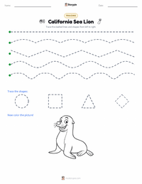 California Sea Lion printable worksheet preview