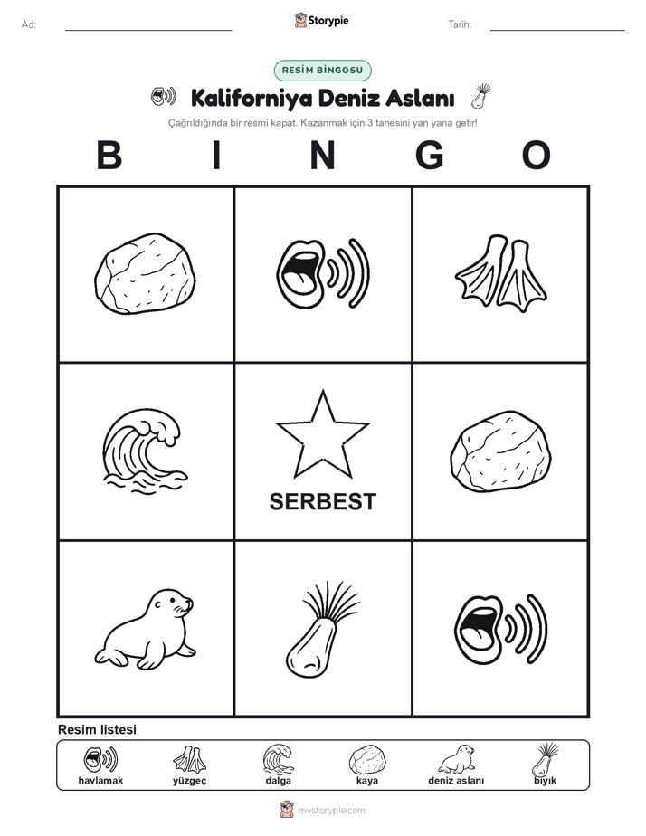Resim Bingo