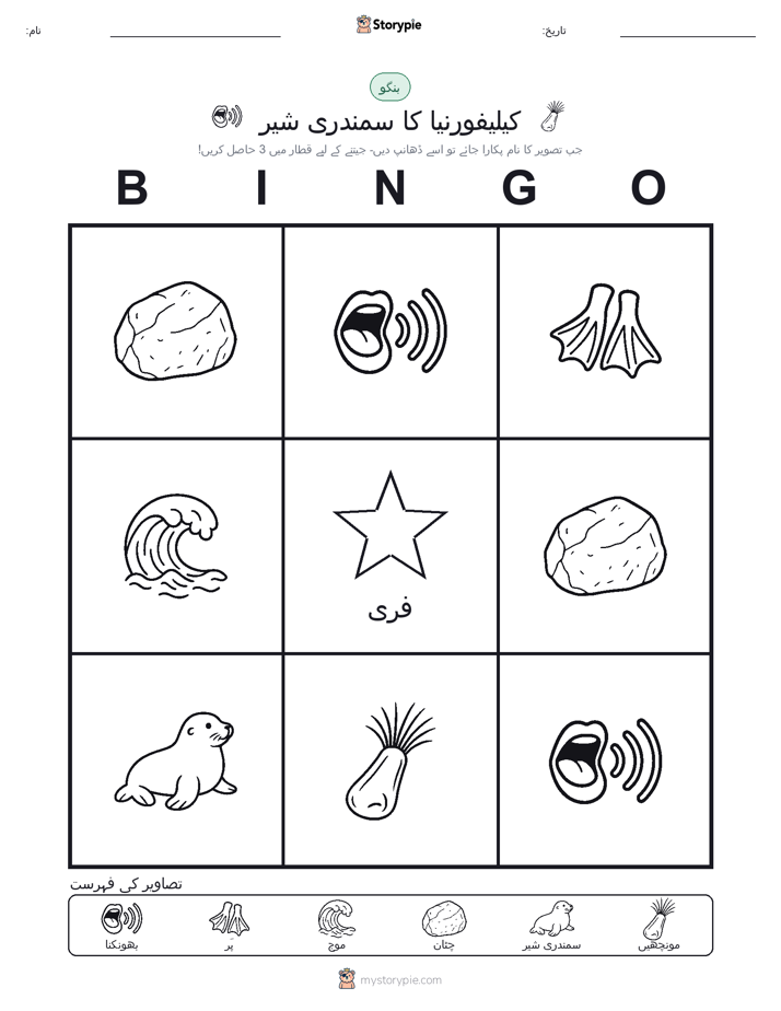 تصویری بنگو