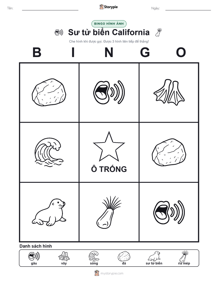 Bingo Hình Ảnh