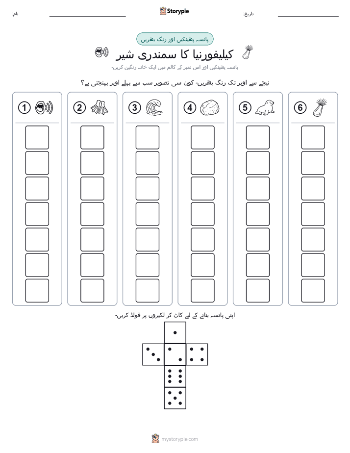 رول اور رنگ