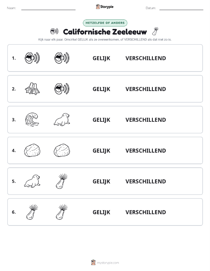 Zelfde of Verschillend