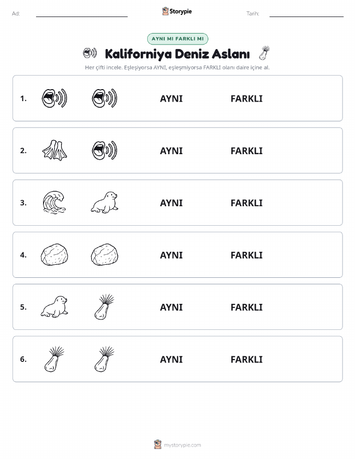 Aynı mı Farklı mı