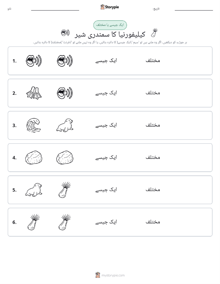 ایک جیسا یا مختلف