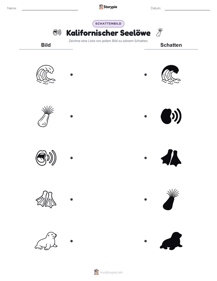 Schattenmatch