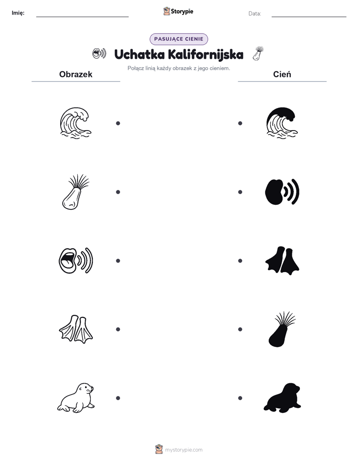Dopasowanie cieni
