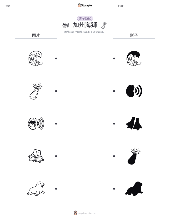 影子匹配