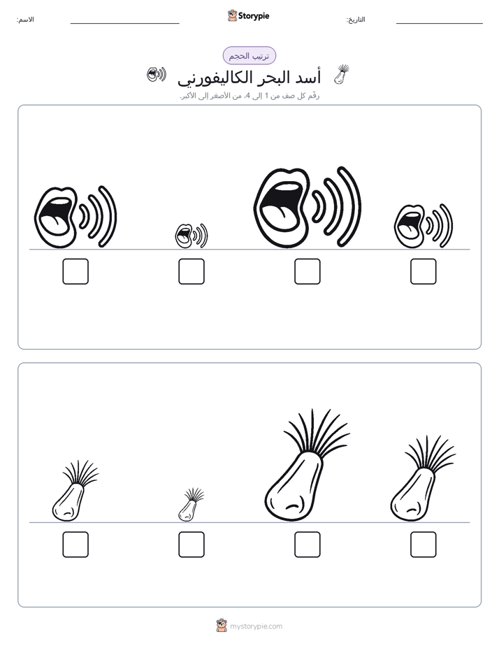 ترتيب الحجم