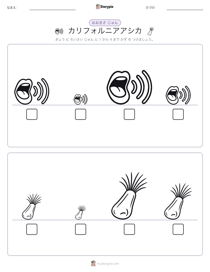 サイズ順