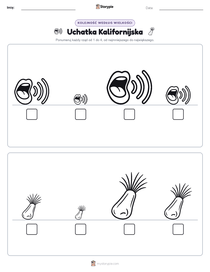 Porządek rozmiarów